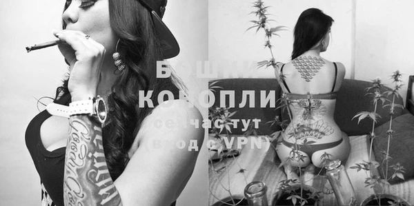 трава Абаза