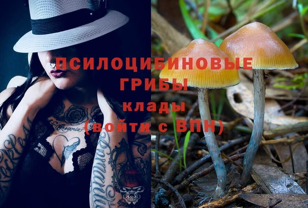 мяу мяу мука Алексин